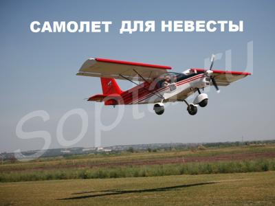 VIP-AVTO &  